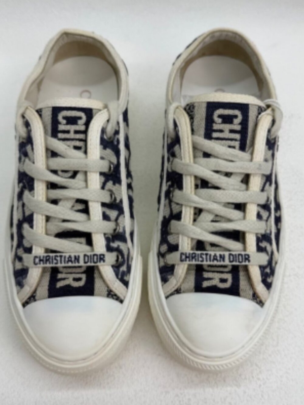 Dior Low Top Skate Shoes